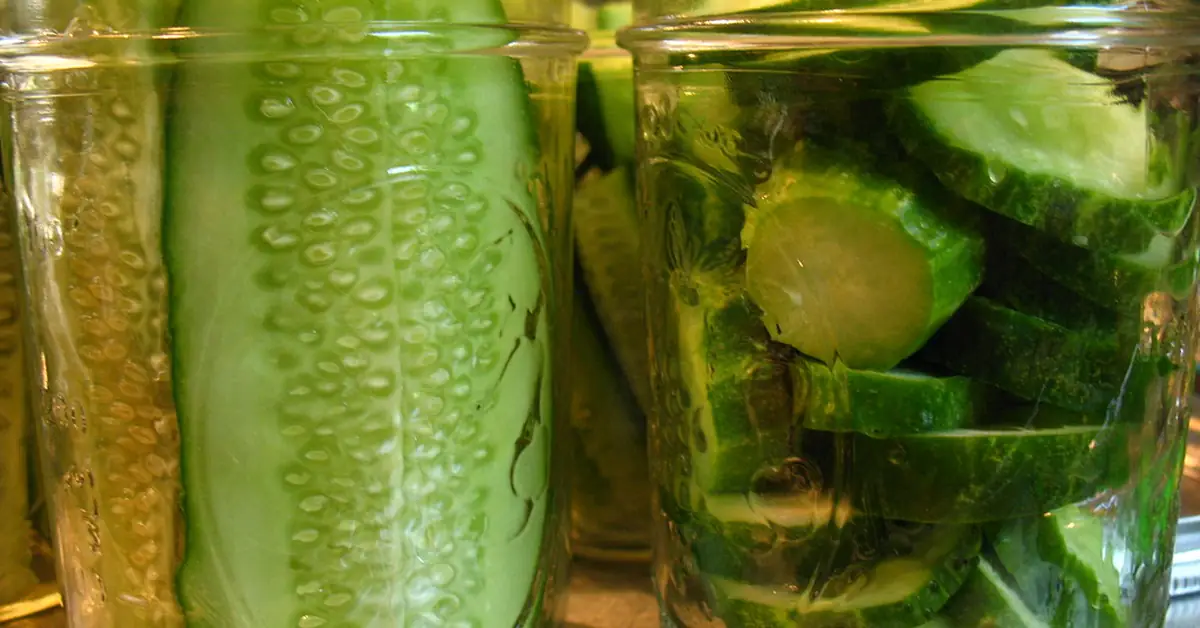 Pickled Cucumber Recipe: A Simple Guide to Homemade Pickles